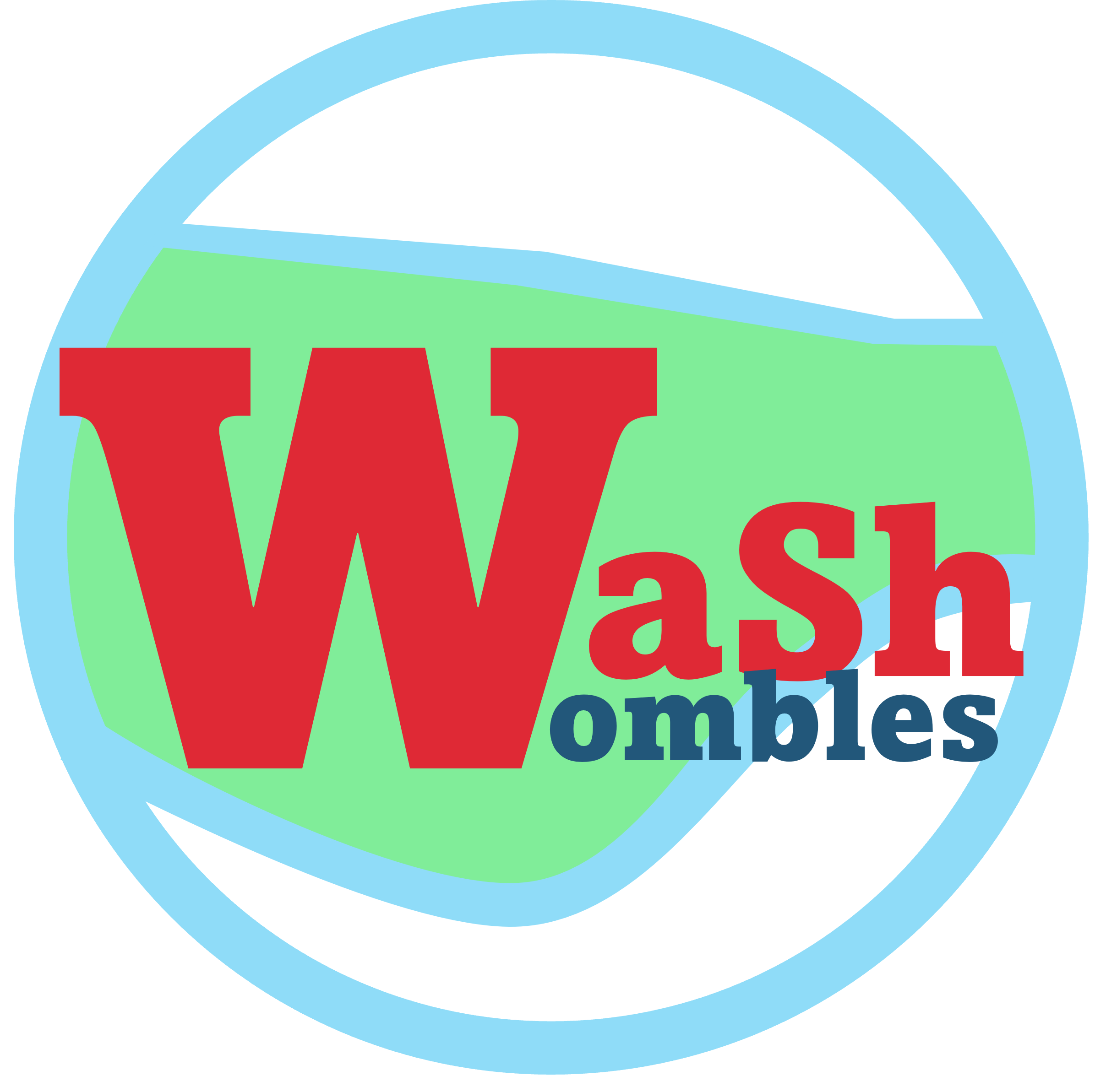 Wash Wombles